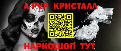 дмт Аргун