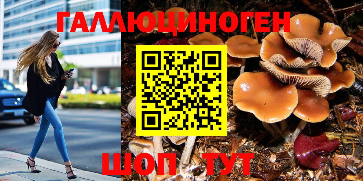 Псилоцибиновые грибы мицелий Асино